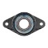 Picture of 1" 1000 °F Carbon 2 Bolt Flange Bearing