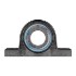 Picture of 3-1/4" 1000 °F Carbon Low Base Pillow Block Bearing