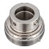 Picture of 3/4" Stainless Mounted Eccentric Bearing Insert