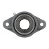 Picture of 1-1/4" 206 Eccentric Mounted 2 Bolt Flange Bearing