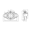 Picture of Eccentric Collar 2-Bolt Flange