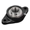 Picture of High Temperature 2-Bolt Flange