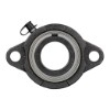 Picture of Light Duty Eccentric Collar 2 Bolt Flange