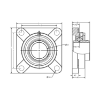 Picture of Plastic 4 Bolt Flange Mounted Food Grade Bearing