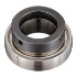 Picture of 20mm Mounted Eccentric Bearing Insert