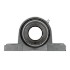 Picture of 40mm Eccentric Mounted Pillow Block Bearing