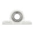 Picture of 40mm IP69K Plastic Pillow Block Mounted Food Bearing