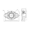 Picture of Standard Duty 2-Bolt Flange