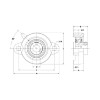 Picture of Light Duty Setscrew Locking Agriculture 2 Bolt Flange