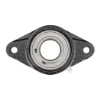 Picture of High Temperature 2-Bolt Flange