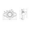 Picture of Plastic 2 Bolt Flange Food Grade Bearing with End Cap