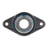 Picture of 2-Bolt Flange HT750 Carbon Sleeve Bearing